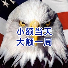 泸溪要账公司
